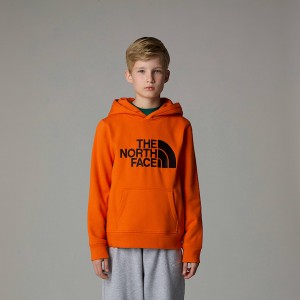 Kids' The North Face Drew Peak Hoodie Orange | NF0A85J5F
