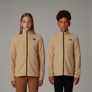 Kids' The North Face Glacier Zip-In Fleece Jackets Khaki | NF0A82E3P
