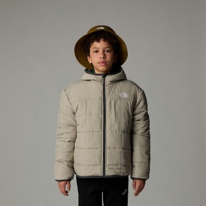 Kids' The North Face Reversible Shasta Full-Zip Hooded Jackets Grey | NF0A71J0Y