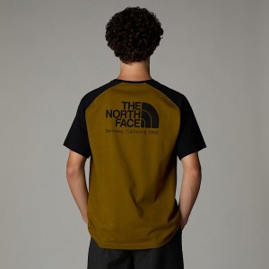 Men The North Face Heritage T Shirts Green | NF0A16I0J