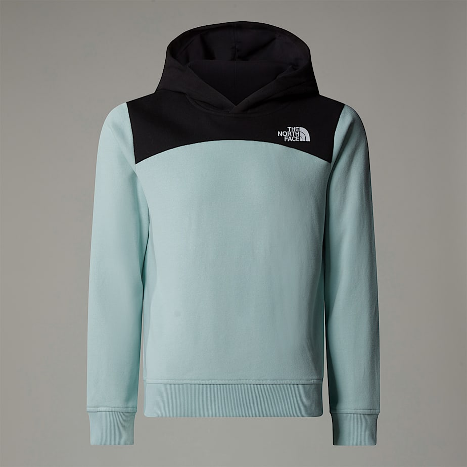 Kids' The North Face Back Logo Relaxed Hoodie Turquoise | NF0A93X4V