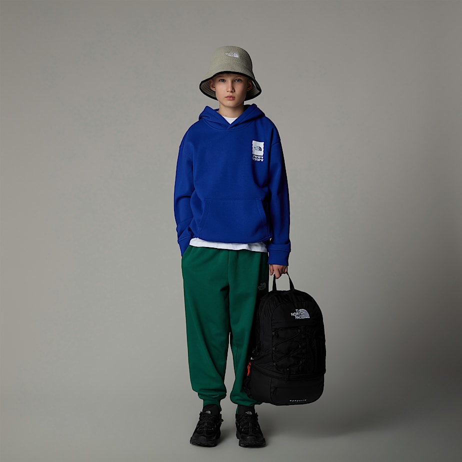 Kids' The North Face Coordinates Oversized Graphic Hoodie Blue | NF0A34Y8I