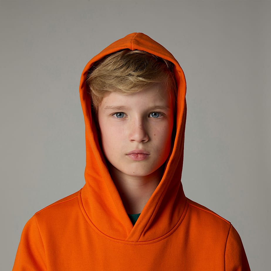 Kids' The North Face Drew Peak Hoodie Orange | NF0A85J5F