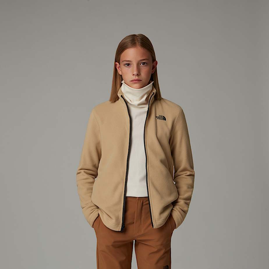 Kids' The North Face Glacier Zip-In Fleece Jackets Khaki | NF0A82E3P
