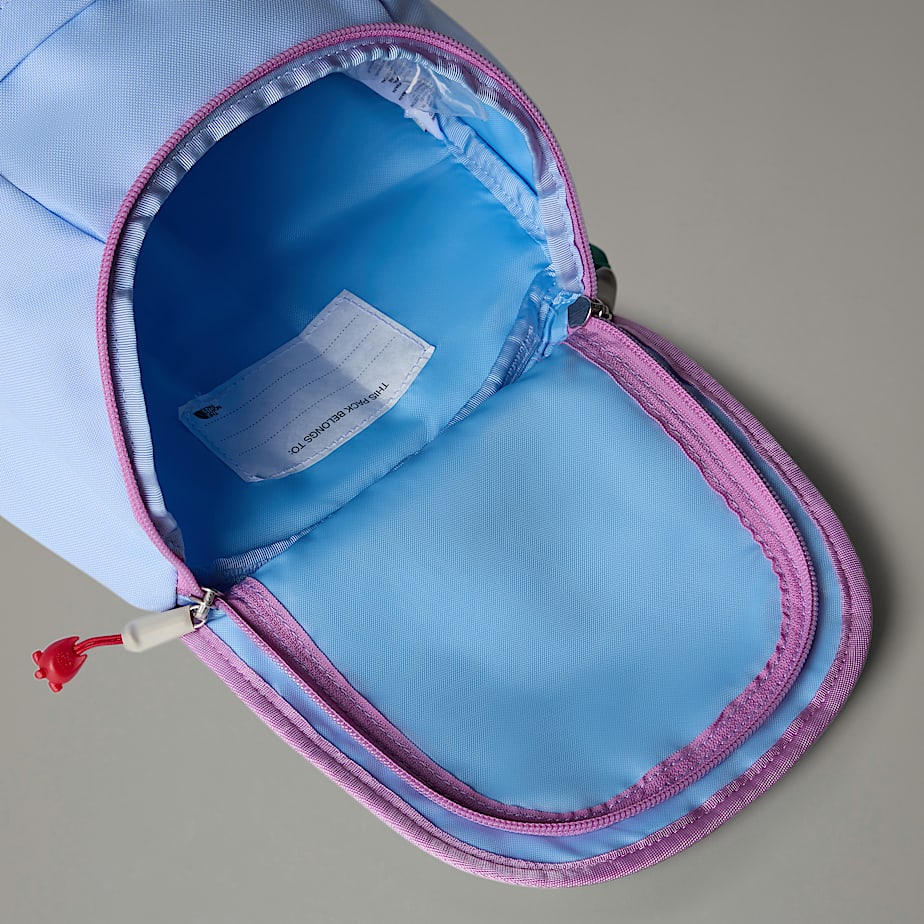 Kids' The North Face Mini Explorer Backpacks Blue | NF0A55X4M