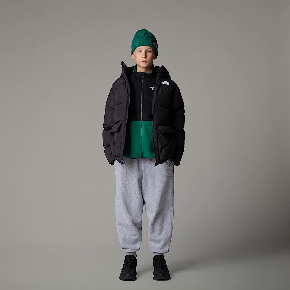 Kids' The North Face North Down Fleece-Lined Short Parka Black | NF0A72O1J