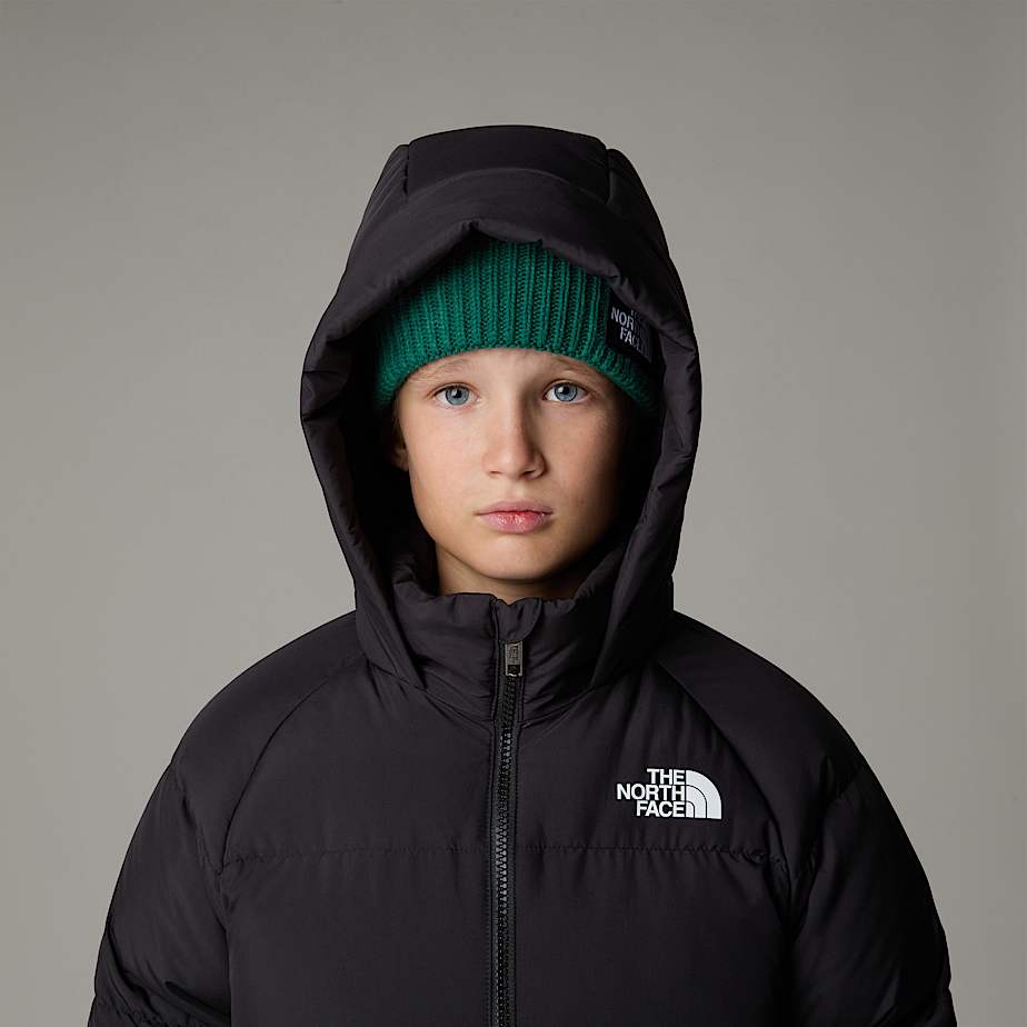 Kids' The North Face North Down Fleece-Lined Short Parka Black | NF0A72O1J