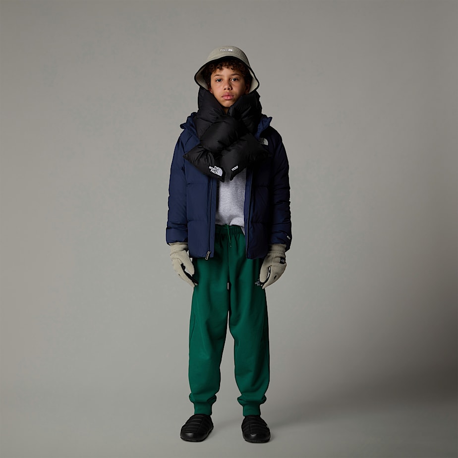 Kids' The North Face North Down Hooded Jackets Navy | NF0A04H8B