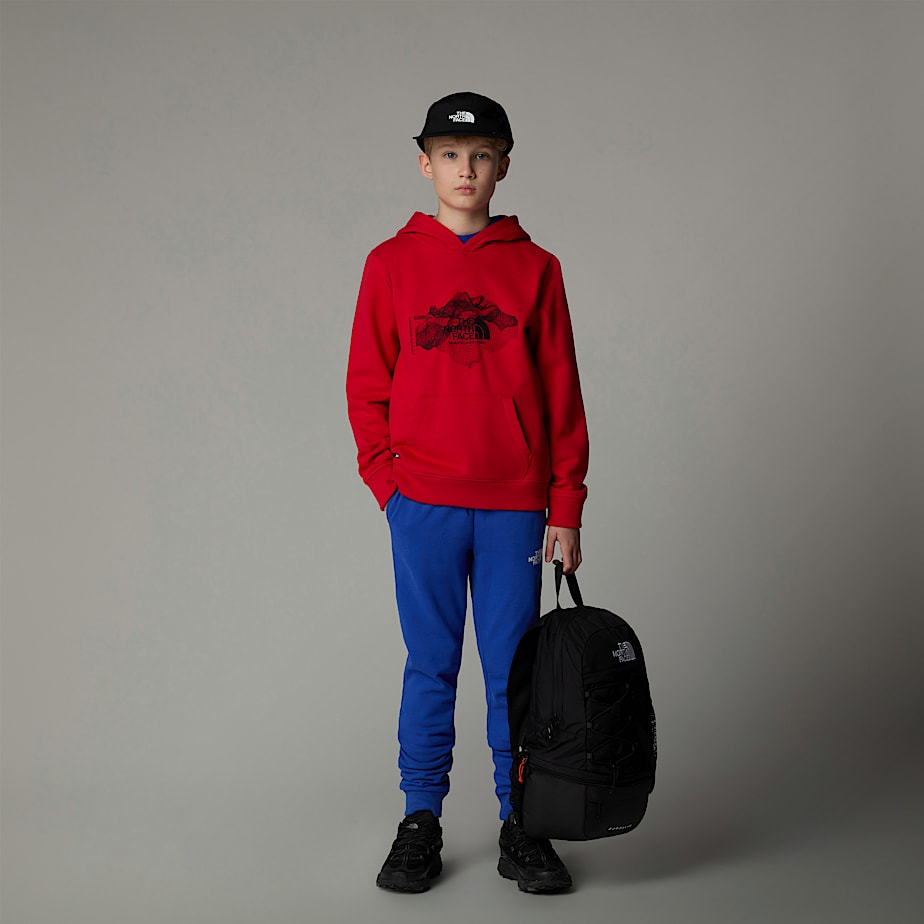 Kids' The North Face Topographic Hoodie Red | NF0A58I9F