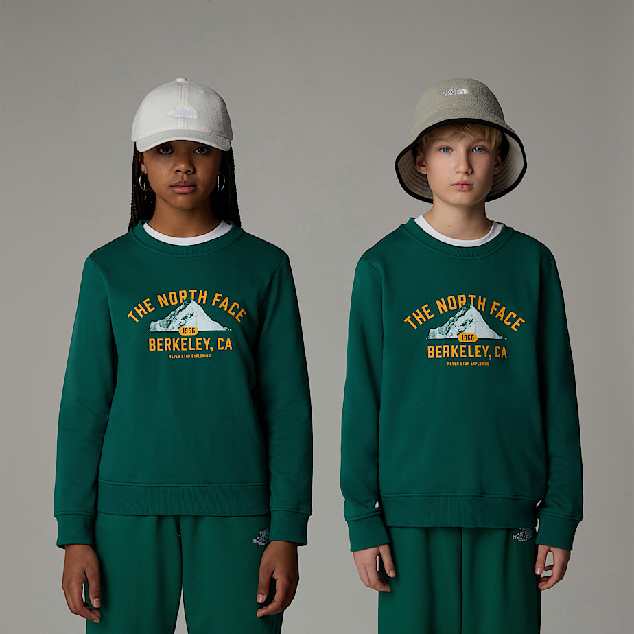 Kids\' The North Face Varsity Graphic Relaxed Sweatshirts Green | NF0A82S6Y