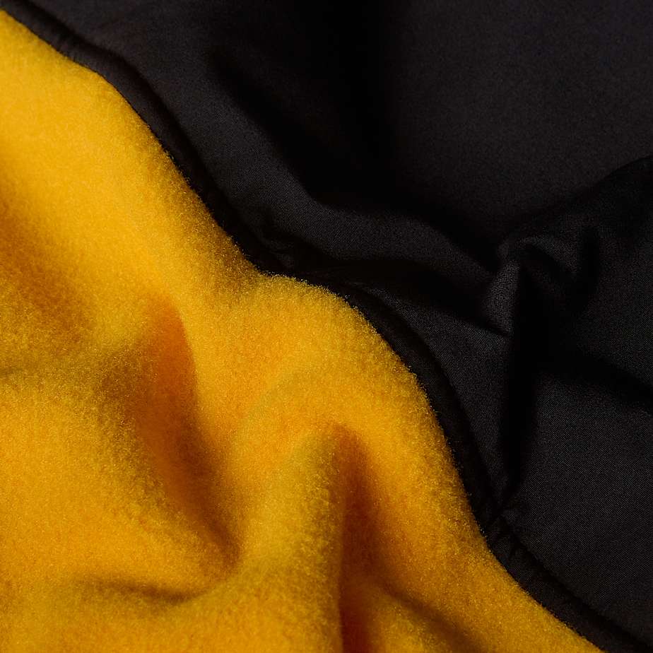 Men The North Face Alpine Polartec® 200 Fleece Jackets Gold | NF0A84T6R