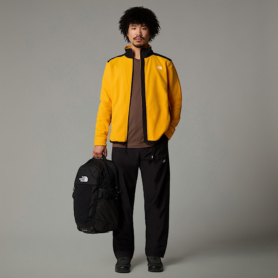 Men The North Face Alpine Polartec® 200 Fleece Jackets Gold | NF0A84T6R