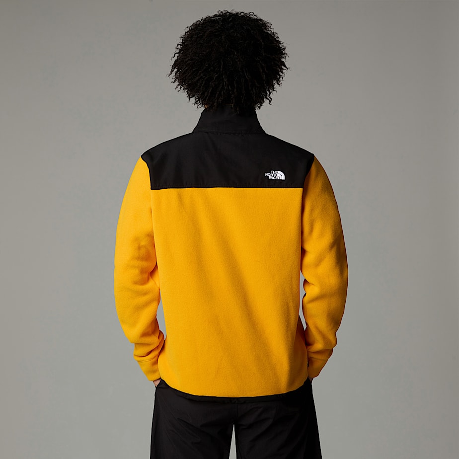 Men The North Face Alpine Polartec® 200 Fleece Jackets Gold | NF0A84T6R