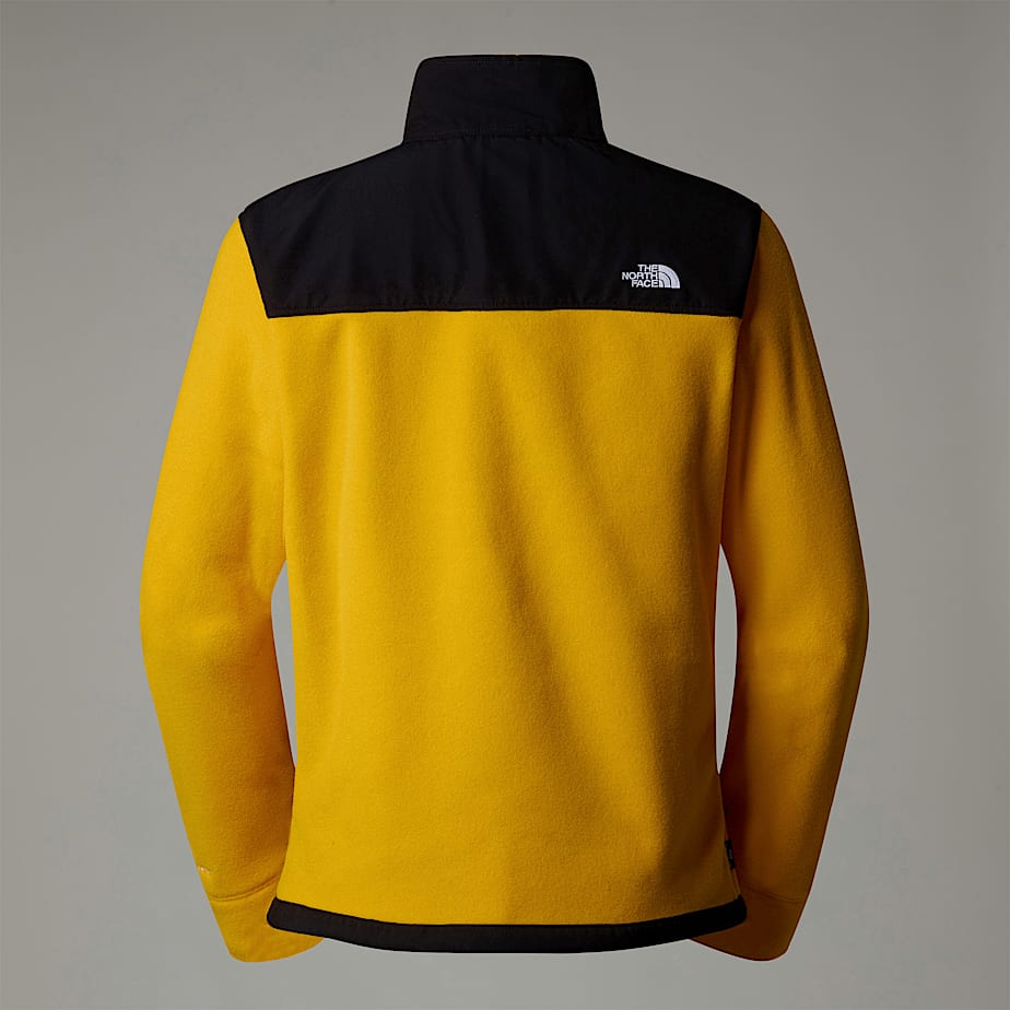 Men The North Face Alpine Polartec® 200 Fleece Jackets Gold | NF0A84T6R