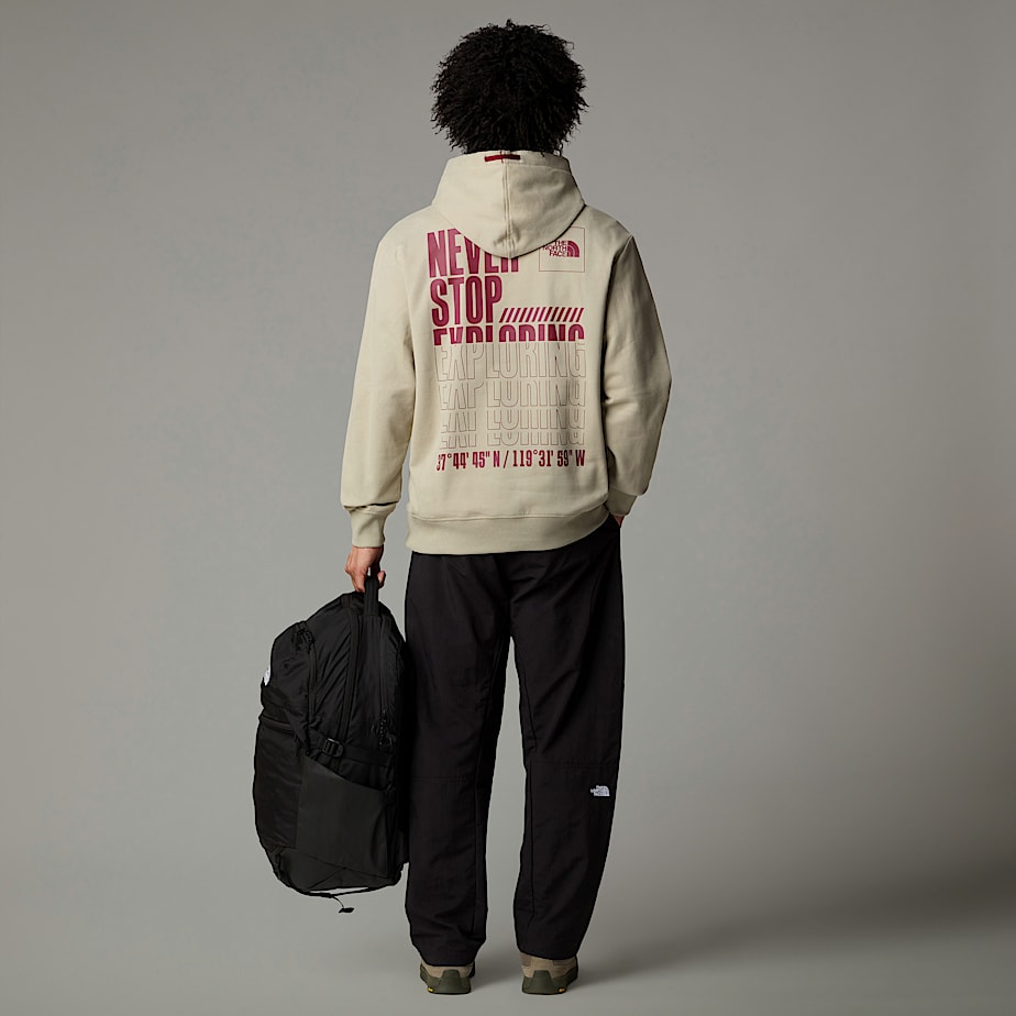 Men The North Face Coordinates Hoodie Grey | NF0A61D4N
