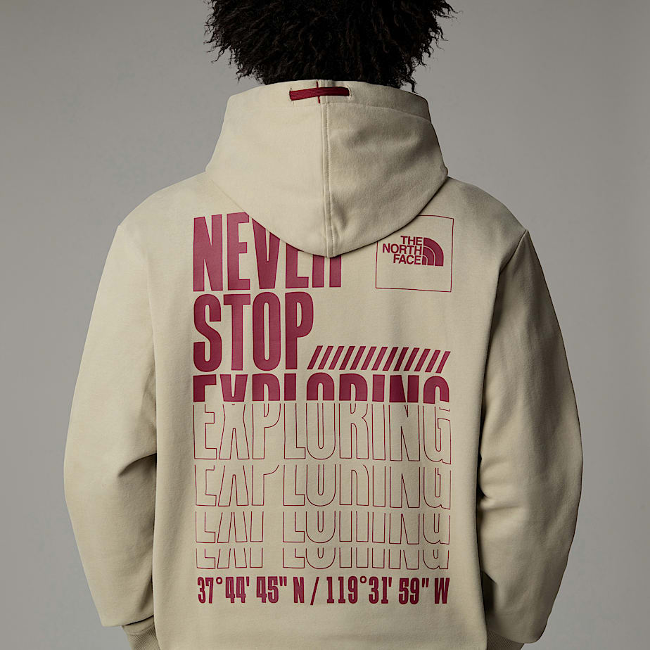 Men The North Face Coordinates Hoodie Grey | NF0A61D4N