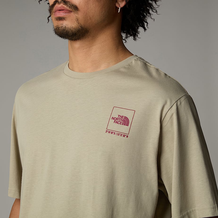 Men The North Face Coordinates T Shirts Grey | NF0A32V9G