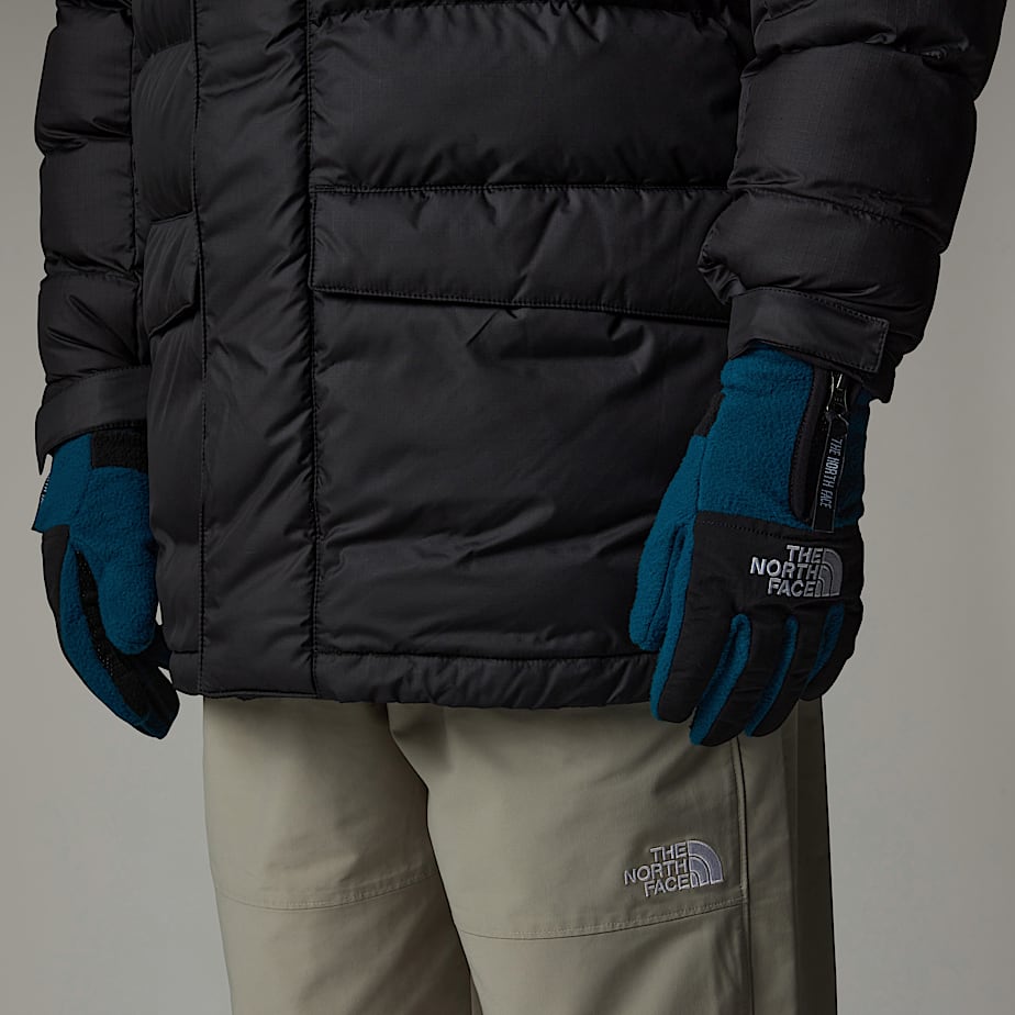 Men The North Face Denali Etip™ Gloves Navy | NF0A59U7K