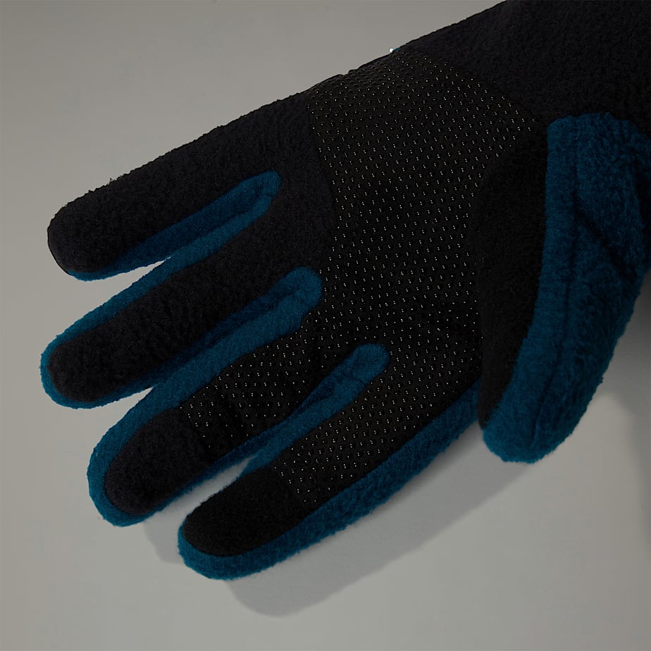 Men The North Face Denali Etip™ Gloves Navy | NF0A59U7K