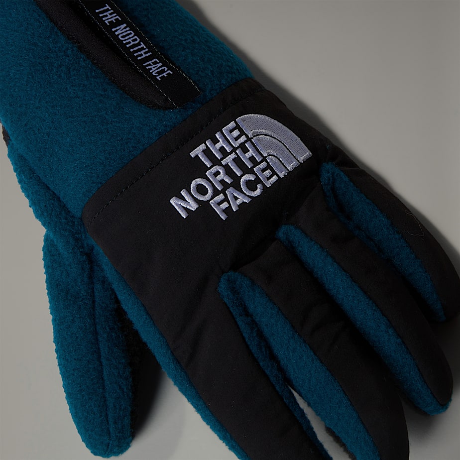 Men The North Face Denali Etip™ Gloves Navy | NF0A59U7K