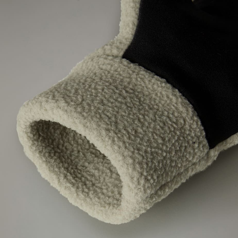 Men The North Face Fleeski Etip™ Gloves Grey | NF0A34S1S