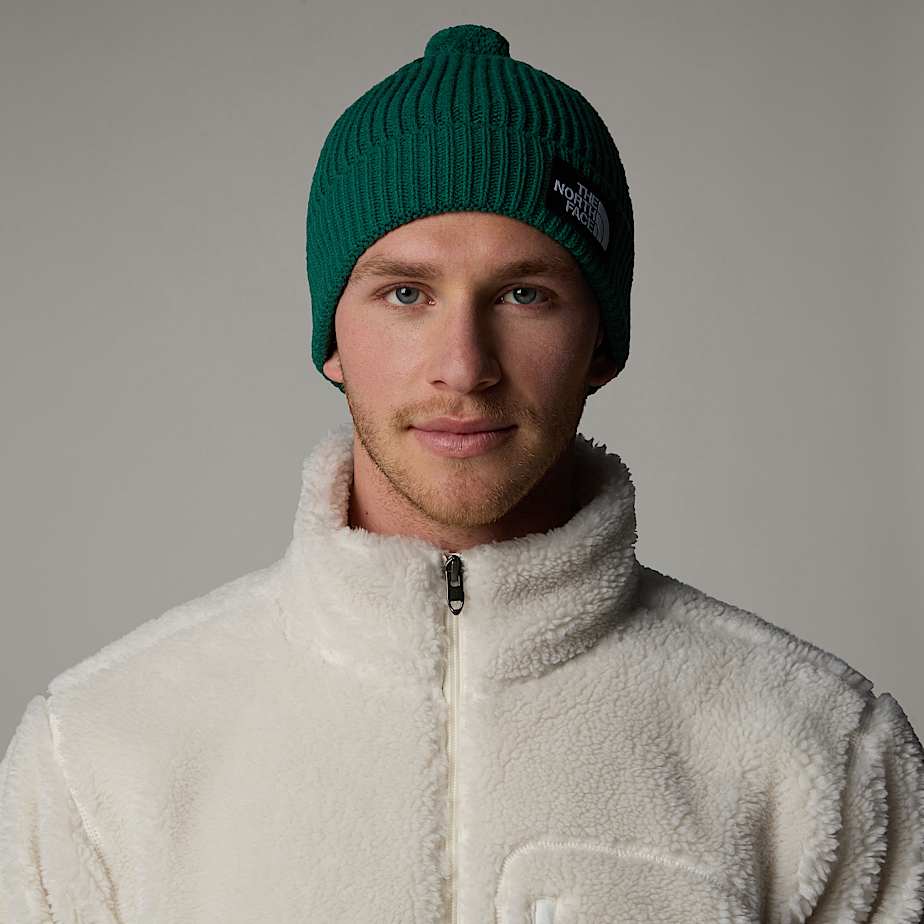 Men The North Face Logo Box Pom Beanie Green | NF0A61F3H