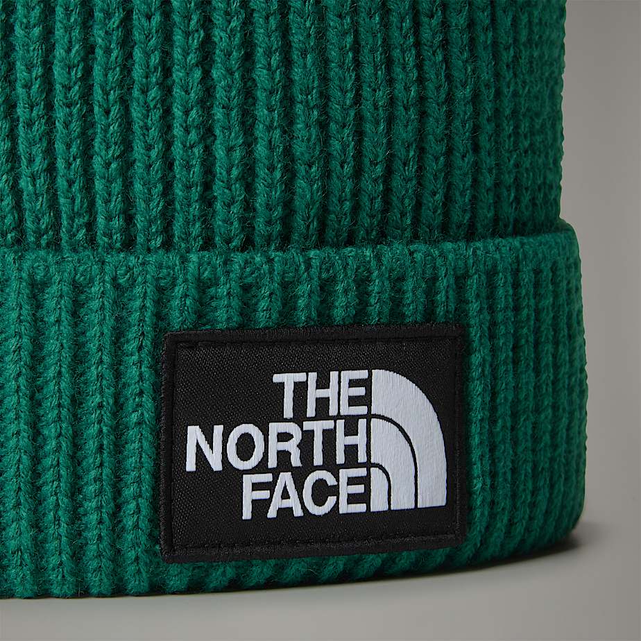 Men The North Face Logo Box Pom Beanie Green | NF0A61F3H