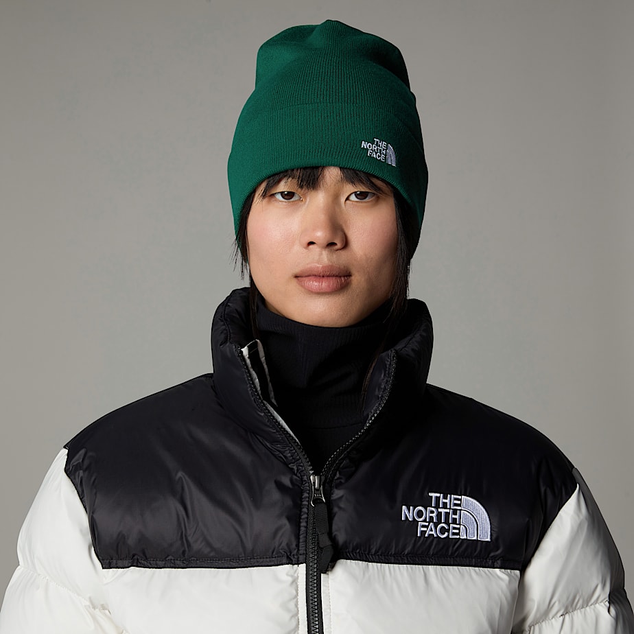 Men The North Face Norm Beanie Green | NF0A54E6E