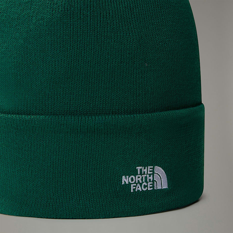 Men The North Face Norm Beanie Green | NF0A54E6E