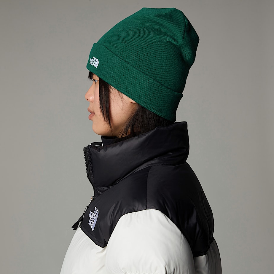 Men The North Face Norm Beanie Green | NF0A54E6E