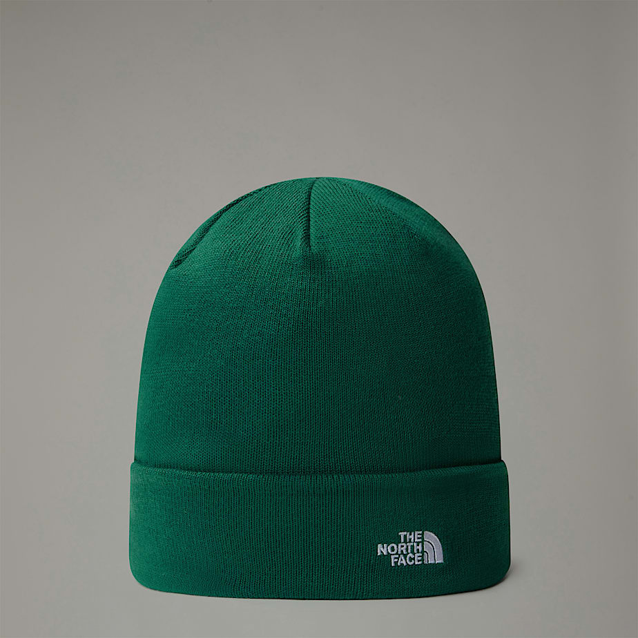 Men The North Face Norm Beanie Green | NF0A54E6E