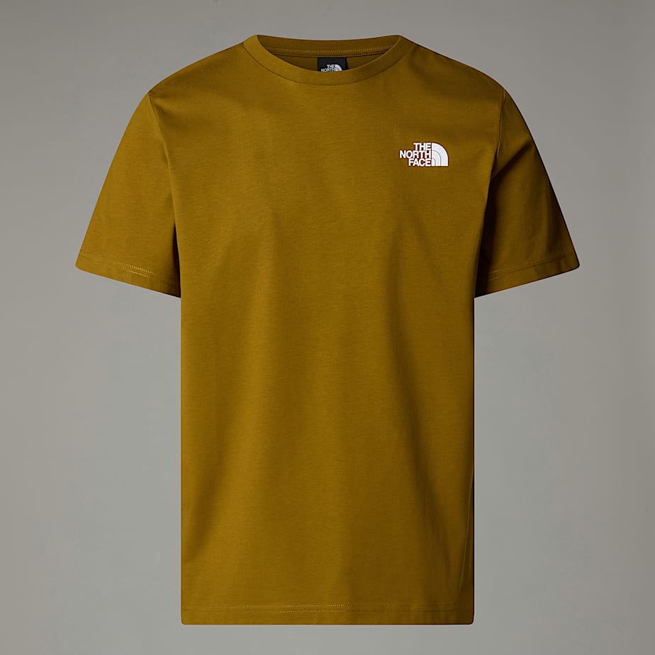 Men The North Face Redbox T Shirts Green | NF0A24E4R