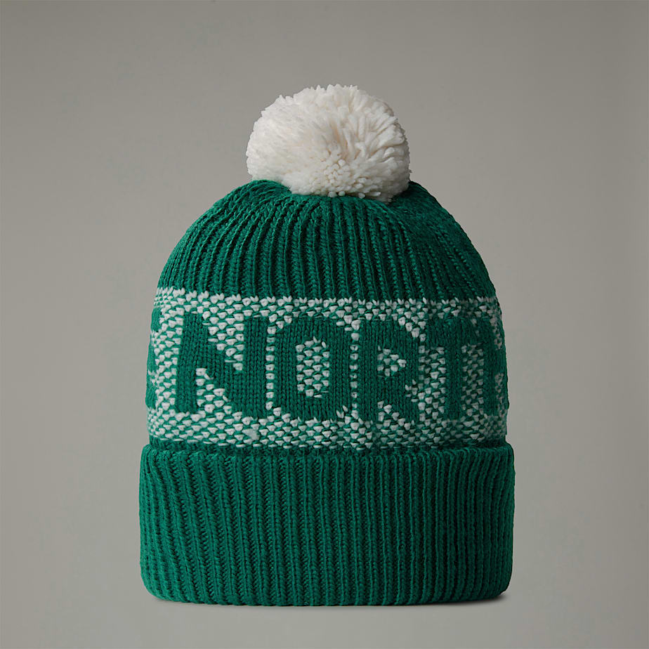 Men The North Face Retro Cabin Beanie Green | NF0A71A7U