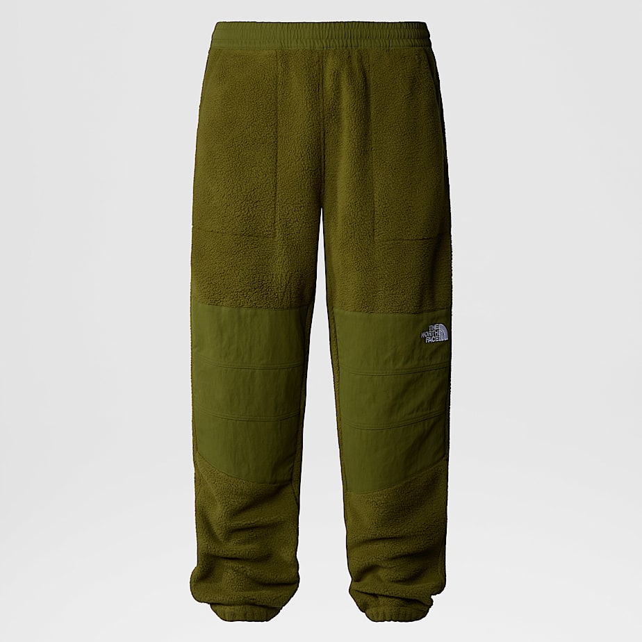 Men The North Face Ripstop Denali Pants Green | NF0A49L4Q