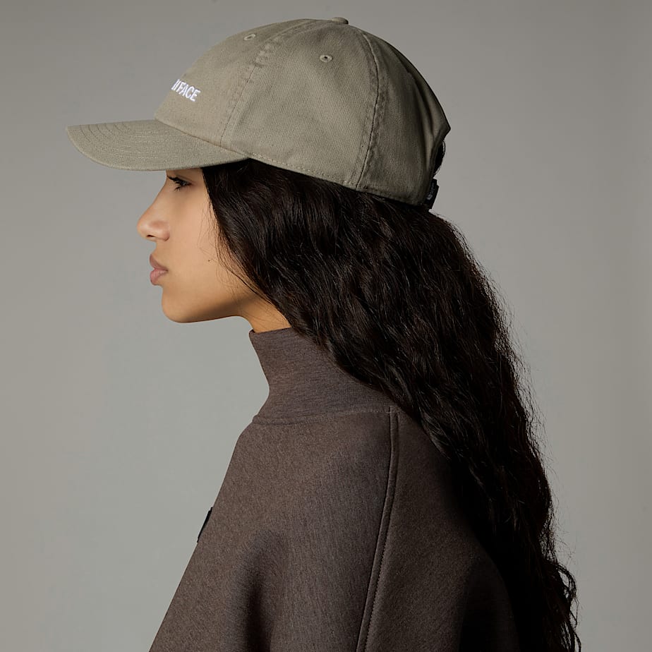 Men The North Face Roomy Norm Caps Grey | NF0A09X3K