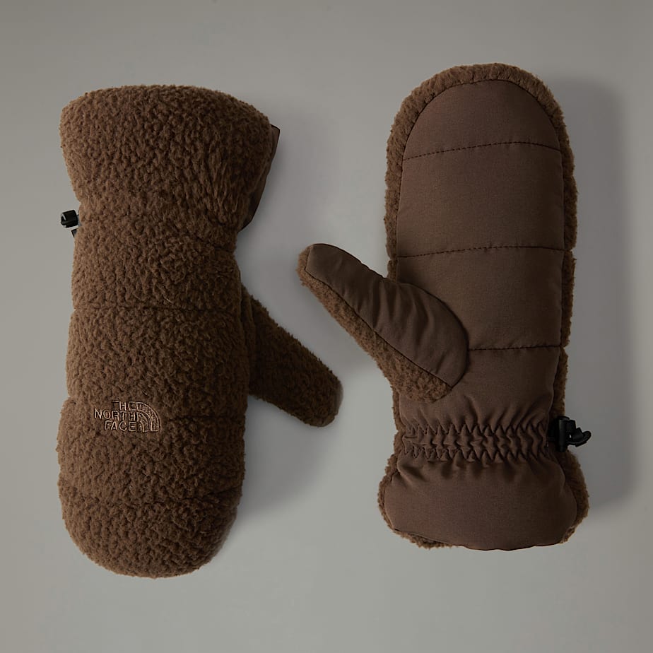 Women The North Face Cragmont Fleece Mittens Brown | NF0A37E6X