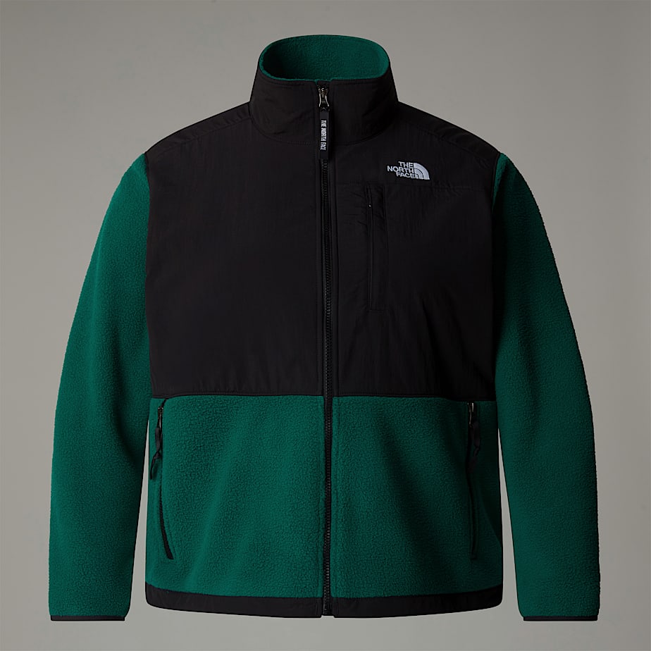 Women The North Face Plus Size Retro Denali Jackets Green | NF0A93P5J