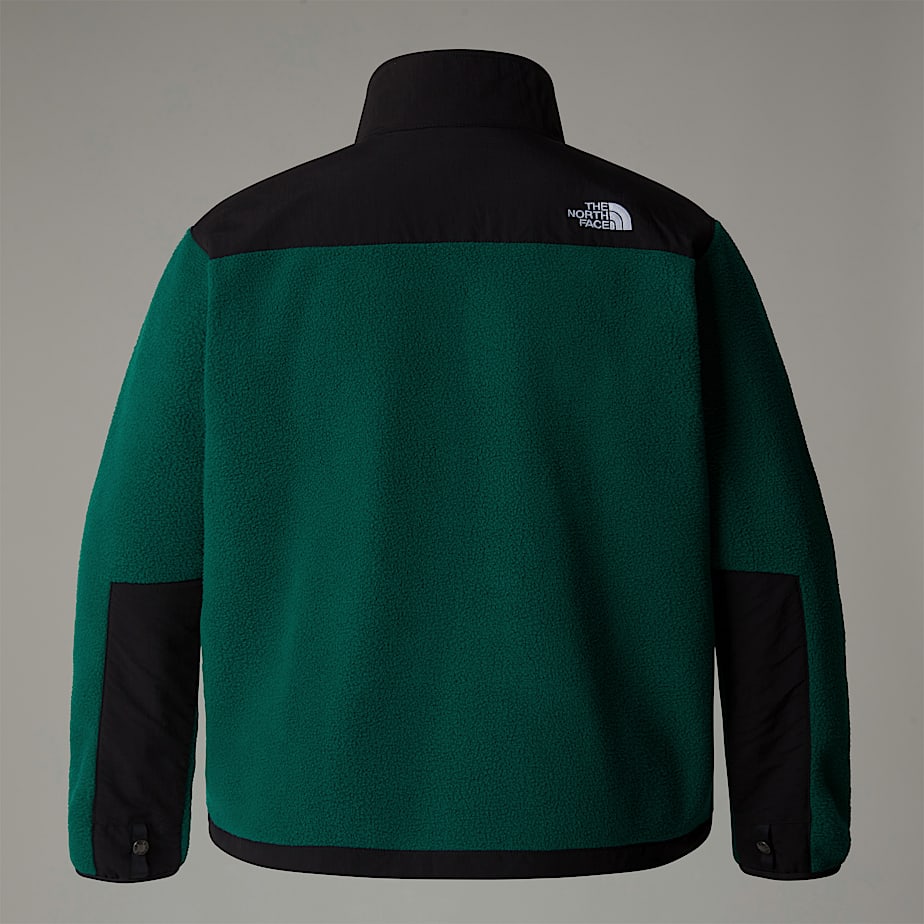 Women The North Face Plus Size Retro Denali Jackets Green | NF0A93P5J